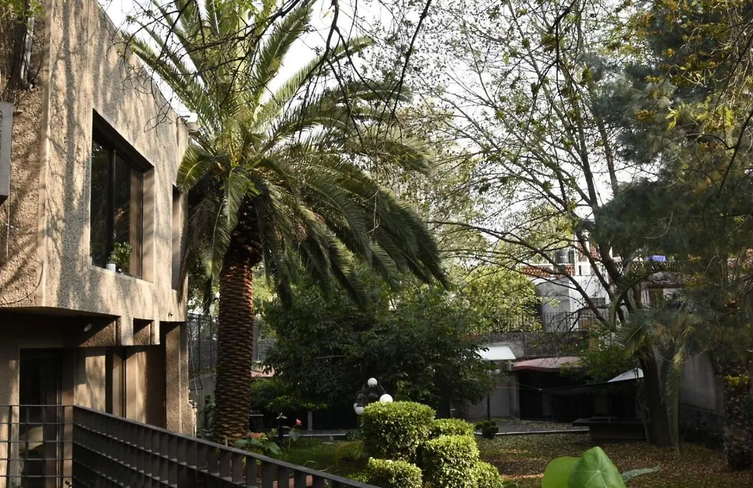 Casa Lulu Coyoacan-1