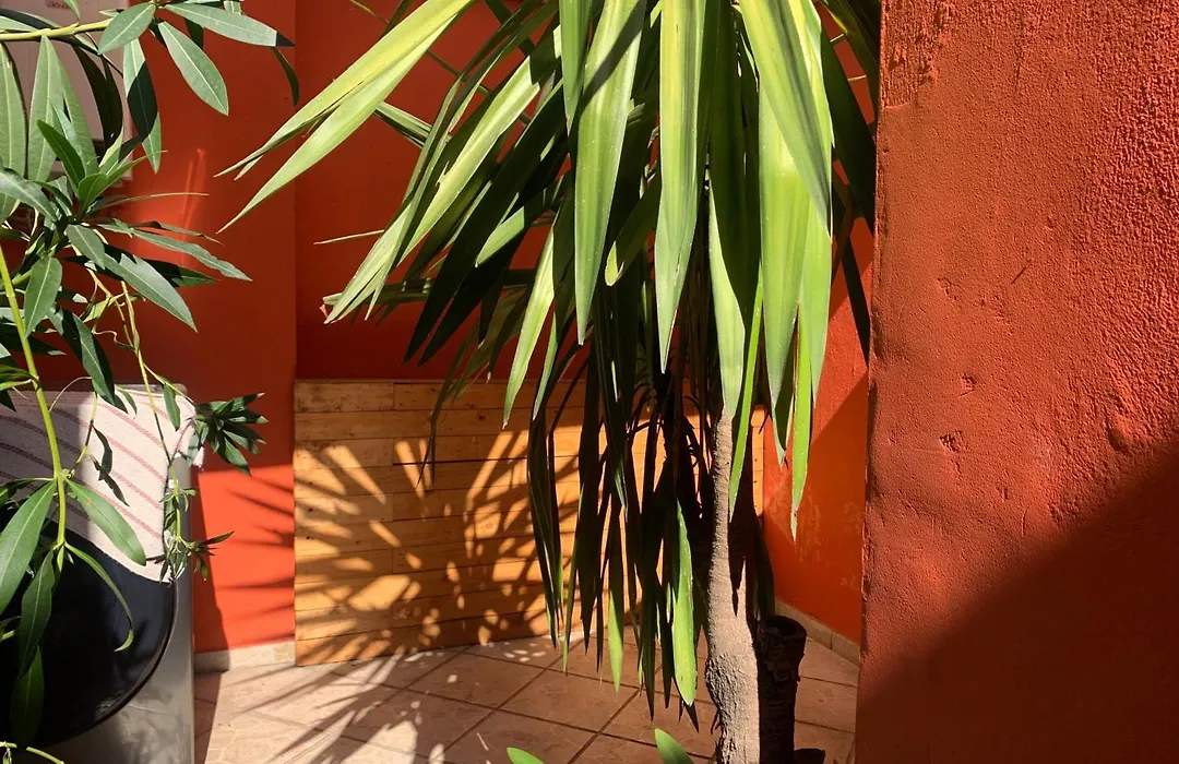 Villa Coyoacan-1