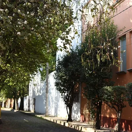 Casa Lulu Coyoacan-3