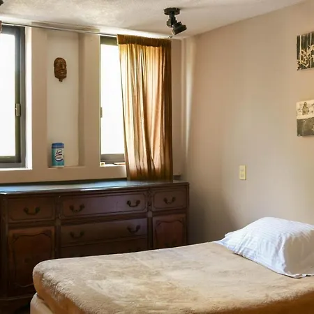 Casa Lulu Coyoacan-2