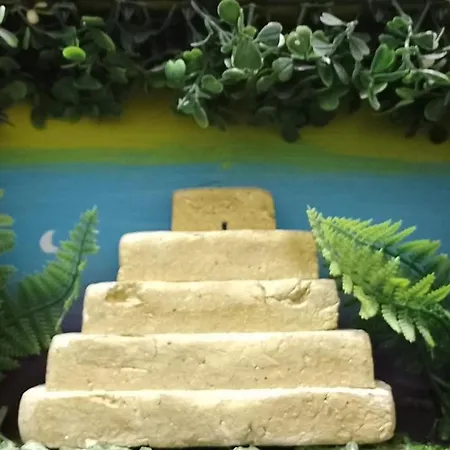 Alojamiento Culturas-2
