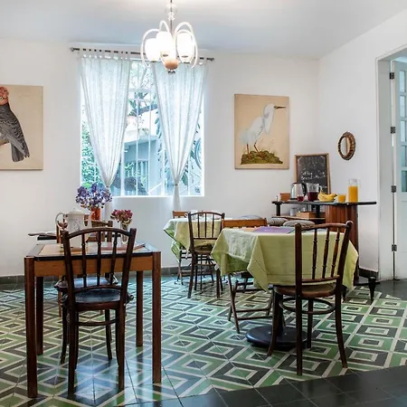 Stella Bed & Breakfast-3