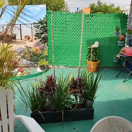 Hostal Estudio Espartaco-3